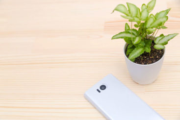 スマートフォンと植物