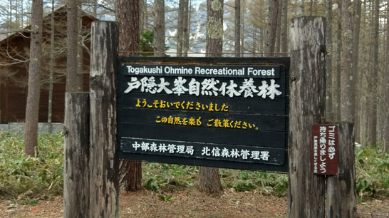 長野県の戸隠森林植物園は野鳥も観察できる森のオアシス