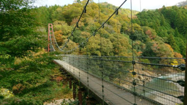 多良峡森林公園の吊り橋